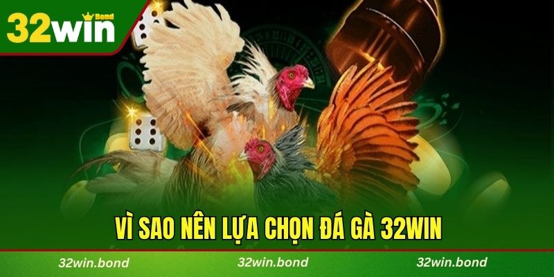 Vì sao nên lựa chọn đá gà 32WIN