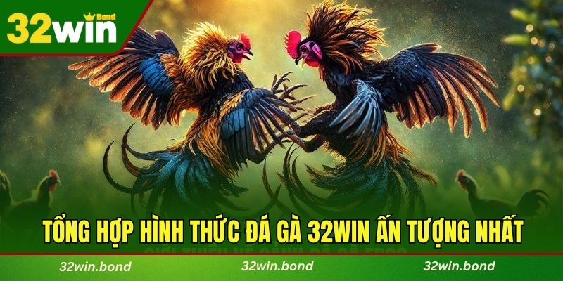 Tổng hợp hình thức đá gà 32WIN ấn tượng nhất