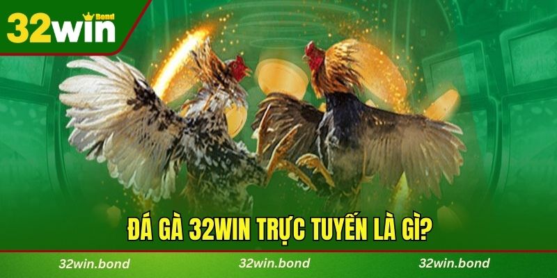 Đá gà 32WIN trực tuyến là gì?