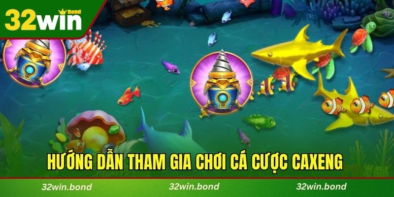 Hướng dẫn tham gia chơi cá cược tại cổng game Caxeng